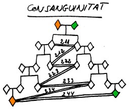 Consanguinidad.jpg