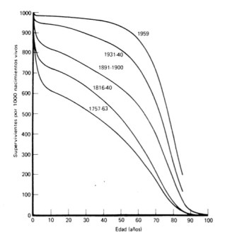 118-curva_supervivencia.jpg