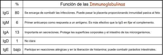 inmunoglobulinas.jpg